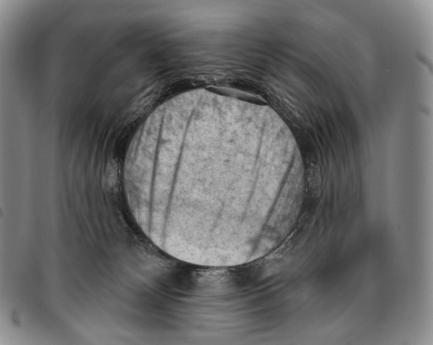 X0000096680132200803041248
