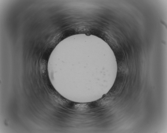 X0000096680133200803041248