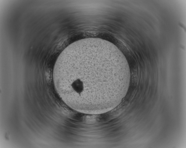 X0000096680134200803041248
