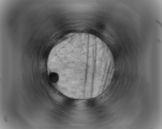 X0000096680136200803041248
