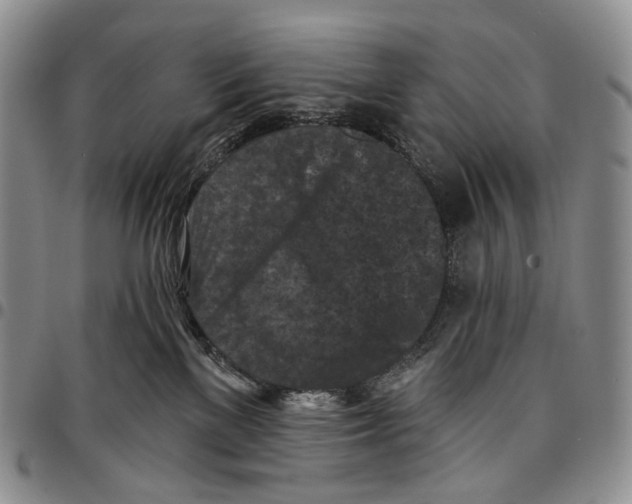 X0000096680137200803041248