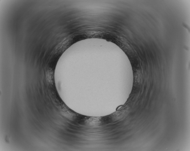 X0000096680138200803041248