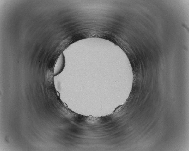 X0000096680142200803041248