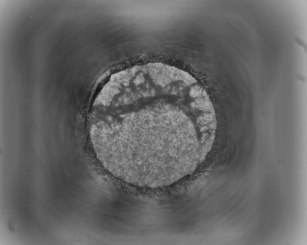 X0000096680144200803041248