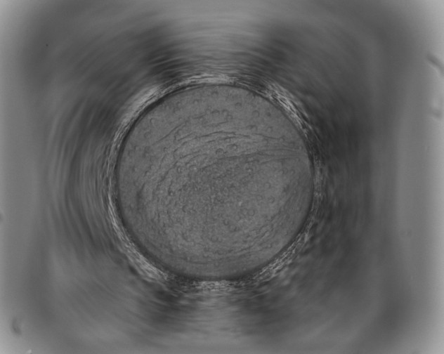 X0000096680145200803041248