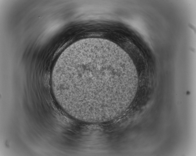 X0000096680146200803041248