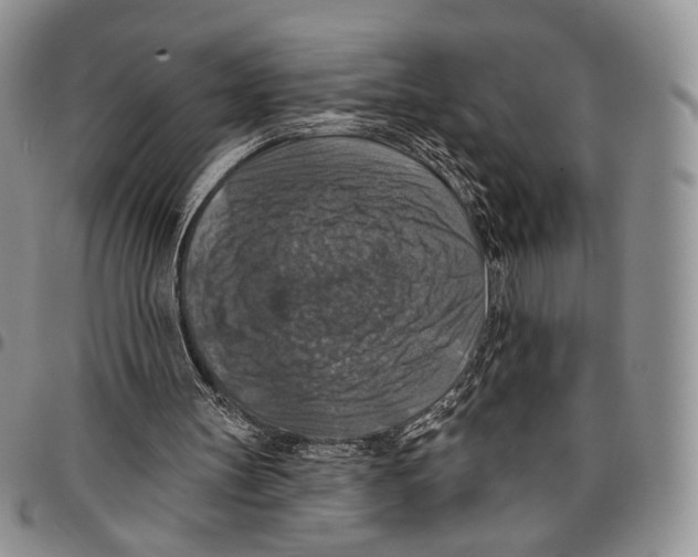 X0000096680147200803041248