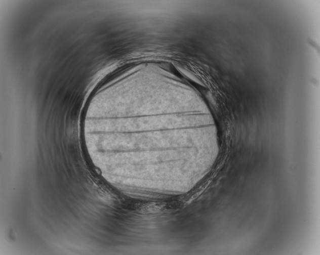 X0000096680148200803041248