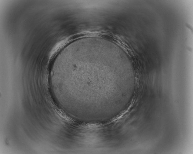 X0000096680149200803041248