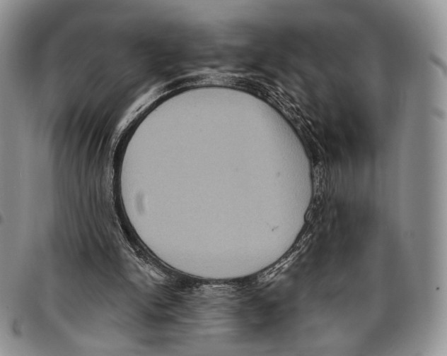 X0000096680150200803041248