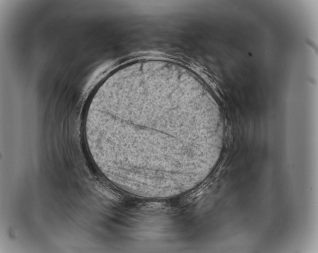 X0000096680151200803041248