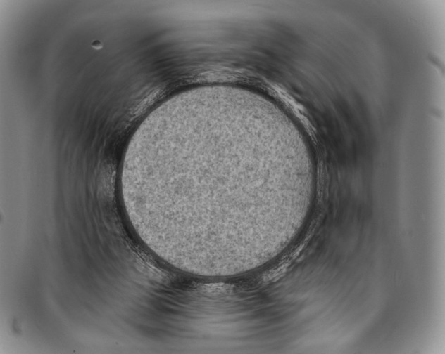 X0000096680153200803041248