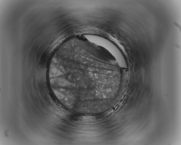 X0000096680154200803041248