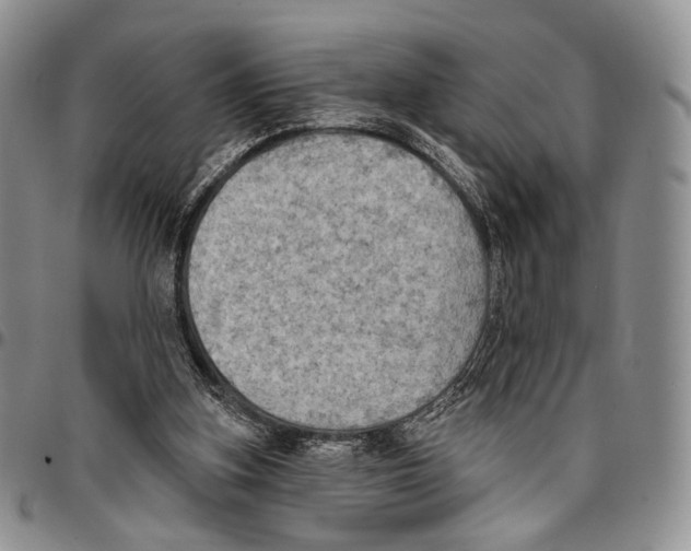 X0000096680155200803041248