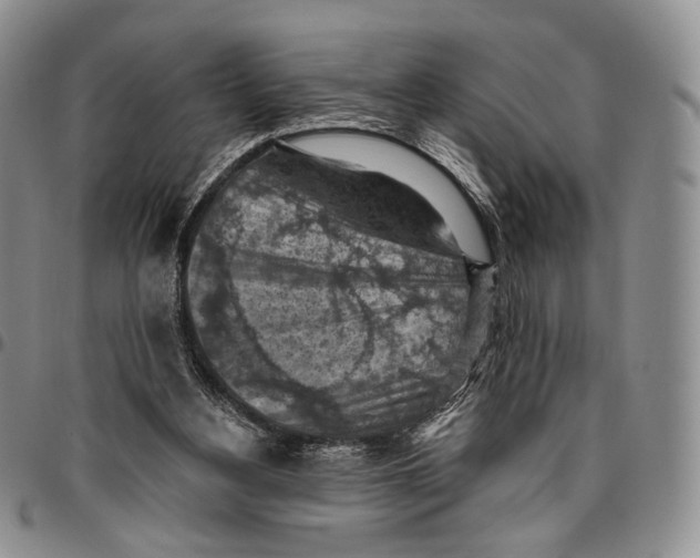 X0000096680156200803041248