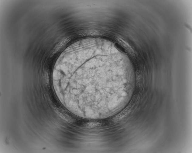 X0000096680158200803041248