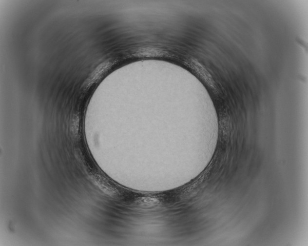 X0000096680159200803041248