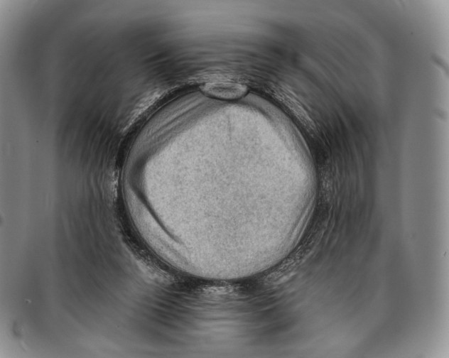 X0000096680160200803041248