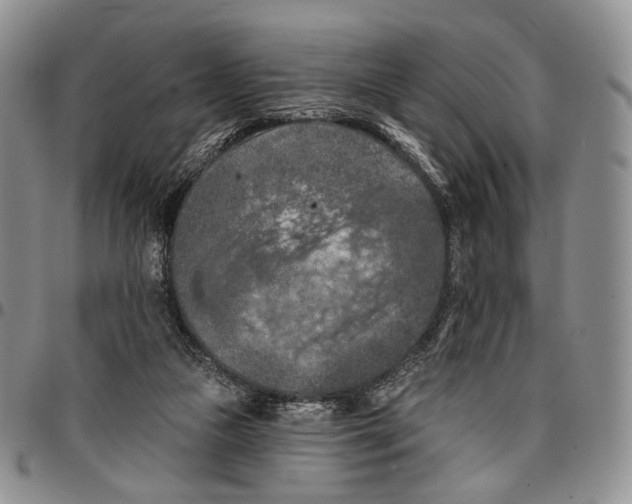 X0000096680161200803041248