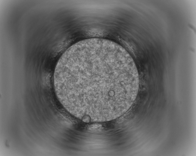X0000096680162200803041248