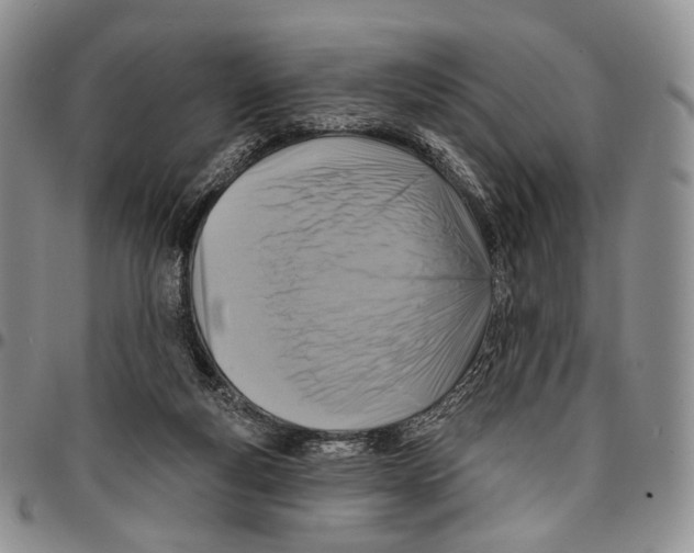 X0000096680163200803041248