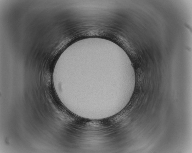 X0000096680164200803041248