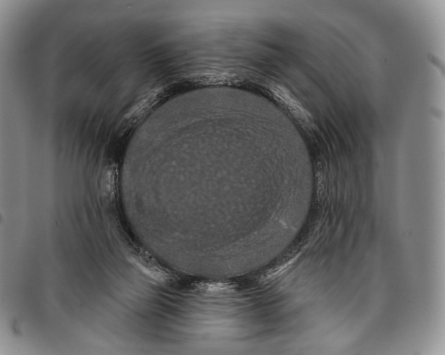 X0000096680165200803041248