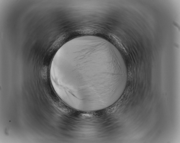 X0000096680167200803041248