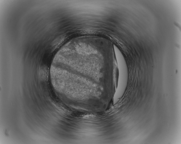 X0000096680168200803041248