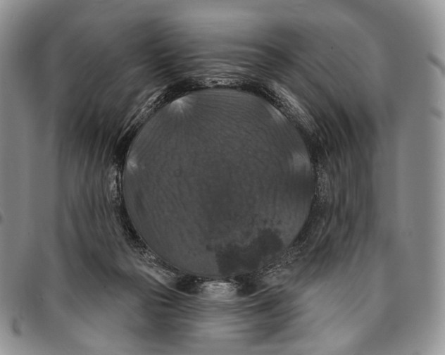 X0000096680169200803041248