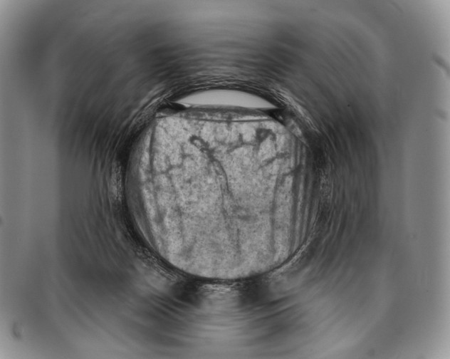 X0000096680170200803041248
