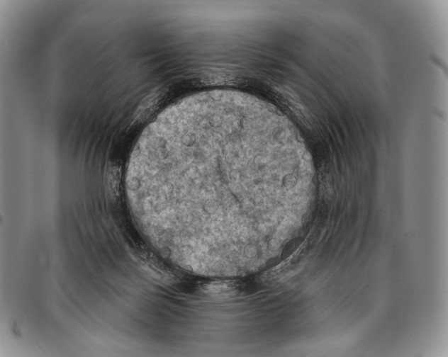X0000096680171200803041248