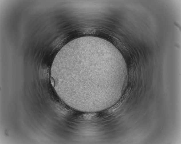 X0000096680172200803041248