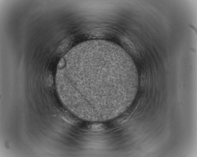 X0000096680173200803041248
