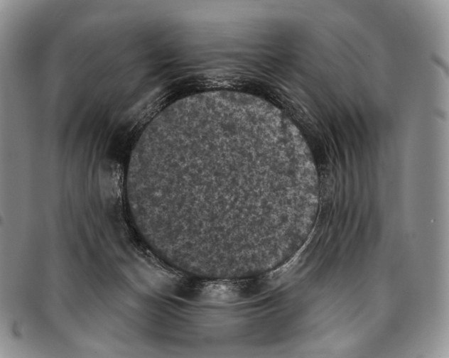 X0000096680174200803041248