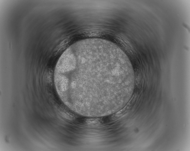 X0000096680175200803041248