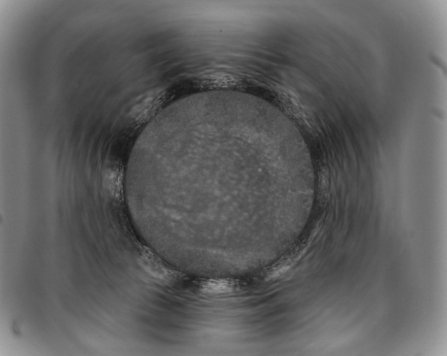 X0000096680177200803041248
