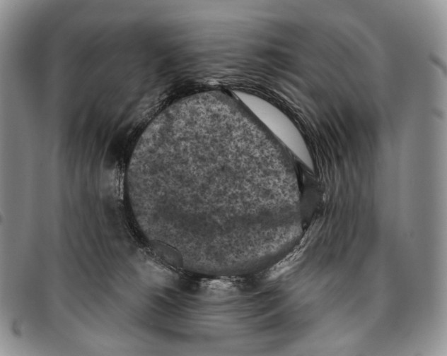 X0000096680180200803041248