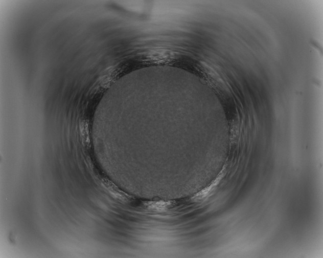 X0000096680182200803041248