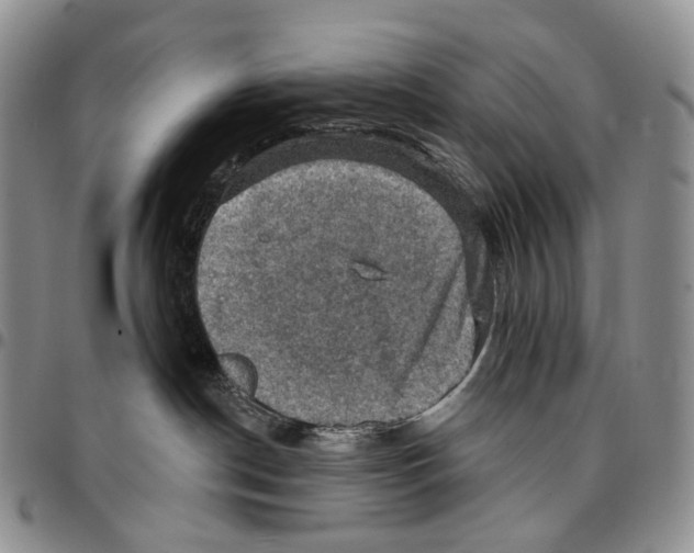 X0000096680190200803041248