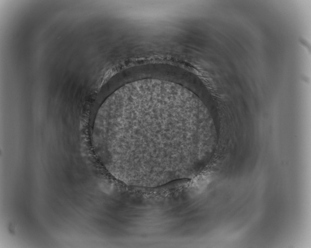X0000096680192200803041248