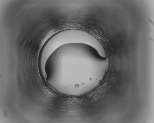 X0000096680195200803041248