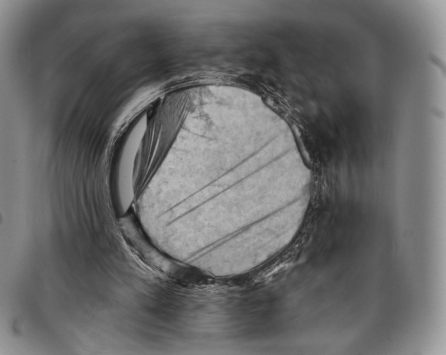 X0000096680197200803041248