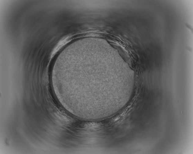 X0000096680198200803041248