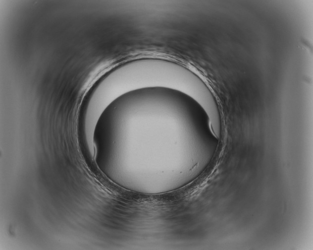 X0000096680199200803041248