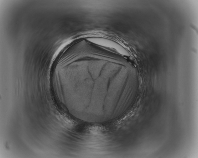 X0000096680200200803041248