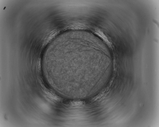 X0000096680202200803041248
