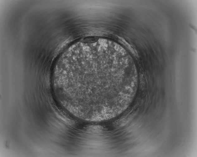 X0000096680203200803041247