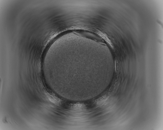 X0000096680204200803041247