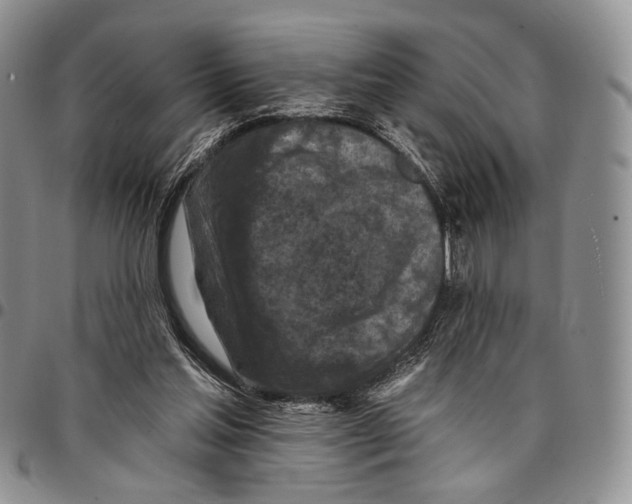 X0000096680205200803041247